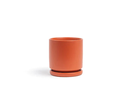 Momma Pots 6.25" Gemstone Cylinder Pot w/ Water Saucer
