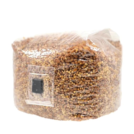 North Spore Serilized Grain Bag