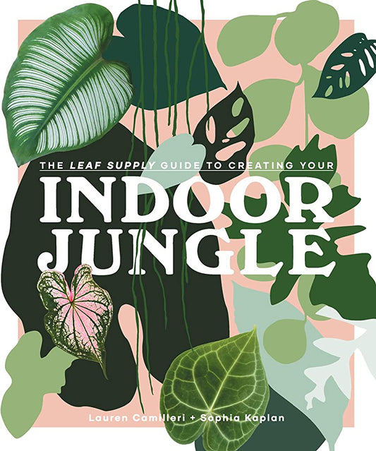 Guide To Indoor Jungle