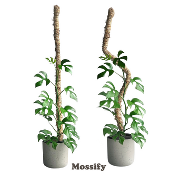 Mossify Moss Pole 30"