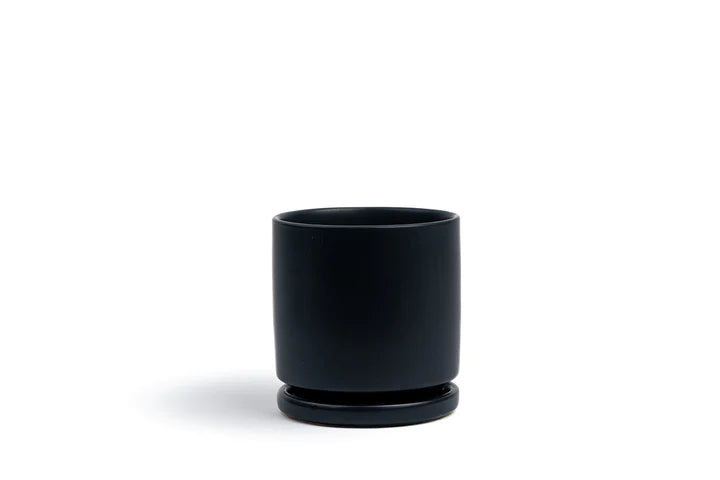Momma Pots 6.25" Gemstone Cylinder Pot w/ Water Saucer