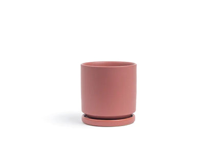 Momma Pots 4.5" Gemstone Cylinder Pot w/ Water Saucer