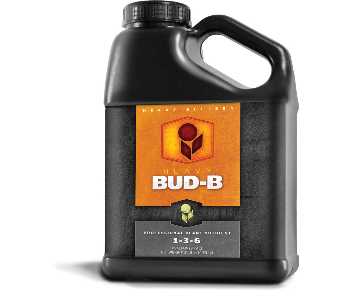 Heavy 16 Bud B Gallon (4L)