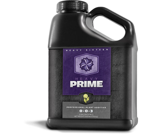 Heavy 16 Prime Concentrate Gallon (4L)