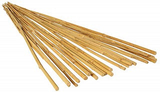 GROW!T 4' Bamboo Stakes, pack of 25