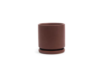 Momma Pots 4.5" Gemstone Cylinder Pot w/ Water Saucer